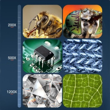 ЦИФРОВОЙ МИКРОСКОП С УВЕЛИЧЕНИЕМ 1200X, HD-ЭКРАН, 7 ДЮЙМОВ, 12 МП, WINDOWS, MacOS ПК