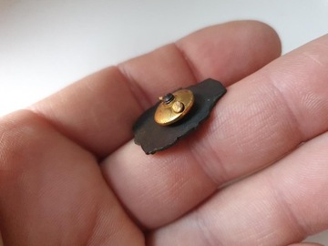 ЗНАК ПТТК ПОЛУЧИЛ ПТТ-ПТТК 50 ЛЕТ ПРЛ