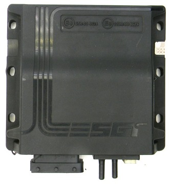 ESGI II 2 MASTER RAPID STEROWNIK LPG