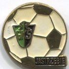 Odznaka GKS Jastrzębie sekcja piłki nożnej