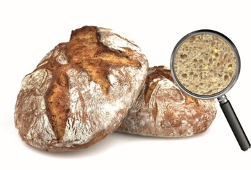 NATURALNY ZAKWAS ORKISZOWY SUCHY DO CHLEBA PIECZYWA SUSZONY W PROSZKU 500 g