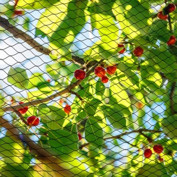 СЕТКА ДЛЯ ПТИЦ, защита от птиц и скворцов, STRONG, УФ-фильтр, 4x5 м