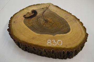 Доска Патера Срез ореха 45х41Гр6