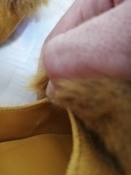 Балетки Zara Basic, размер 35, длина 23 см.