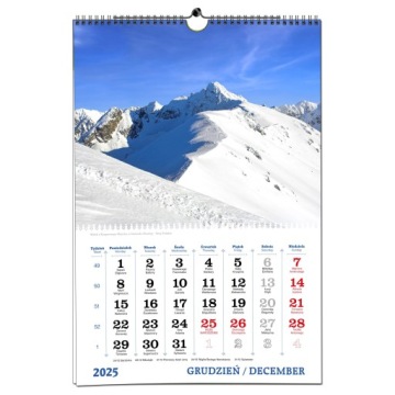 Календарь настенный 2025 B3 33 x 48 см 7 досок TATRAS