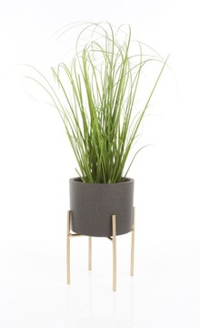 маленькая золотая подставка для цветов gold ASCOT 8x8/9 см