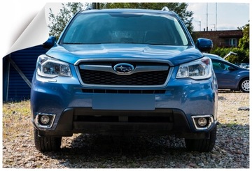 ДЕКОРАТИВНАЯ ГАЛОГЕННАЯ РАМКА ПЕРЕДНЯЯ ЧАСТЬ SUBARU FORESTER
