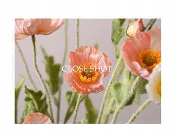 5 симуляций цветов мака в европейском стиле