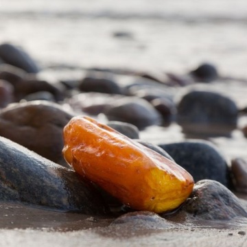 Ароматизатор для соевых свечей, воск, ароматическое масло, 100мл ЯНТАРНЫЙ