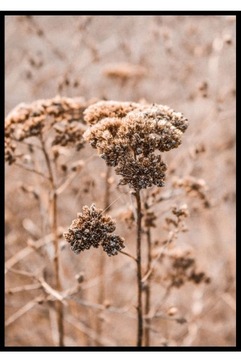 НАБОР постеров СОСТАВ 2 штуки размеры 30х40 бежевый