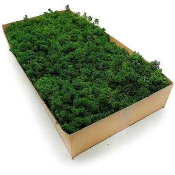 Альпийский мох 500г.