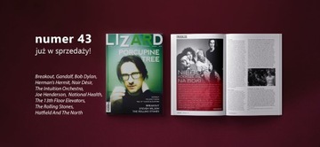 Ящерица № 43 Стивен Уилсон Побег из дикобраза