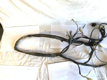 Жгут проводов Malaguti F12