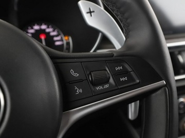 Alfa Romeo Stelvio SUV 2.0 Turbo 280KM 2017 Alfa Romeo Stelvio 4x4, 280KM, skóra, navi, klima, zdjęcie 30