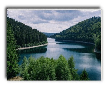 Mały obraz płótno rzeka wśród lasów lasy góry las