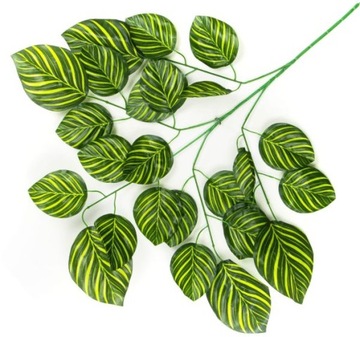 Liść MAGNOLIA Gałązka GREEN LIŚCIE