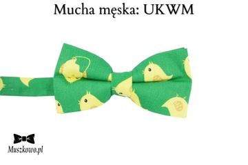 ZIELONY komplet męki Szelki i muszka do wyboru!