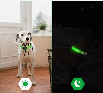 СВЕТЯЩИЙСЯ СВЕТОДИОДНЫЙ ОШЕЙНИК ДЛЯ СОБАК И КОШКИ, РАЗНОЦВЕТНЫЙ ДЕРЕВЯННЫЙ, 3 фазы света Размер: XL