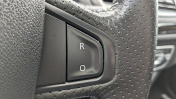 Renault Megane III 2014 Renault Megane OPŁACONY Bezwypadkowy VIP, zdjęcie 27