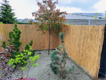 Trans-Cont Covermat 1,4x6 140 x 600 тростниковый коврик