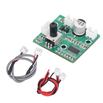 Moduł wzmacniacza dużej mocy Mini Mono 60 W Cyfrowy moduł wzmacniacza BR