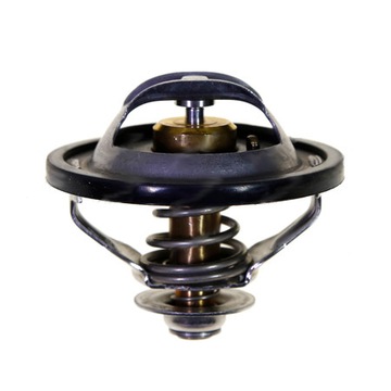 Termostat New Holland 504384724 ZAM