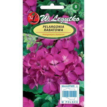Pelargonia rabatowa FIOLETOWA 0,03g LEGUTKO