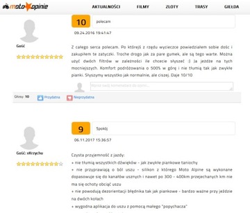 Мотоциклетные стопоры ALPINE MotoSafe Race