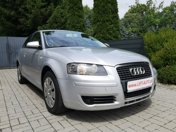 Audi A3 8P Hatchback 3d 1.9 TDI 105KM 2007 Audi A3 1.9 TDI 105KM Klima Elektryka Po wymianie, zdjęcie 2