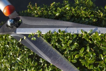 BAHCO P52-SL-20 Ножницы для живой изгороди, лезвие 18 см