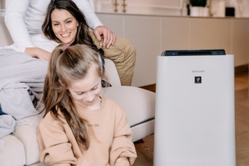 Очиститель воздуха и увлажнитель воздуха Sharp UA-HD60E-L