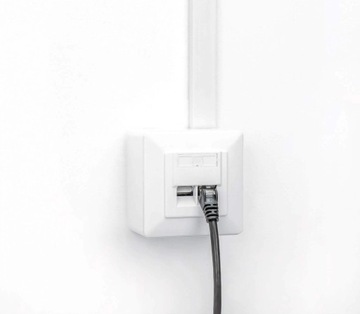 Intellinet 771900 Розетка питания 2 x RJ-45 Белый