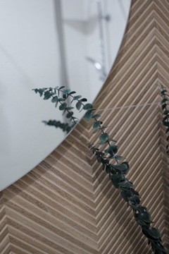 Stabilizowany EUKALIPTUS baby blue 5 gałązek