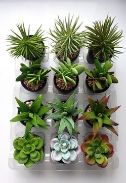 Грунт для суккулентов и кактусов бигос 1л, субстрат