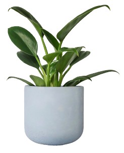 Doniczka betonowa 17cm baby blue