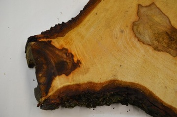 Большой выбор ломтиков каштана 45x32Gr4cm Поднос