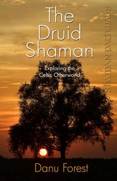 Shaman Pathways - the Druid Shaman: Exploring the