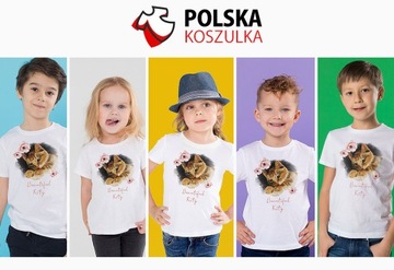 ФУТБОЛКА КОШКИ КОТЯТА ФУТБОЛКА 116 122 КАЧЕСТВО КАЧЕСТВО