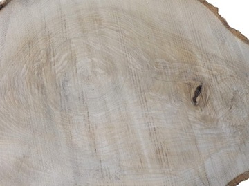 Срез ясеня 54х37см, разные размеры, дерево