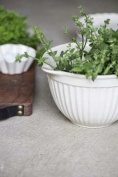 Rose Mynte IB Laursen Пиала с носиком из роз