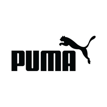 Мужские кроссовки Puma Explore Nitro GTX GORE-TEX Black 45