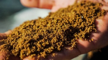 Killer Zanęta Osmo CSuperL CSL Fermentowana Kukurydza 800g