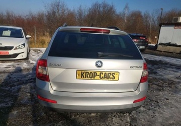 Skoda Octavia III 2017 Skoda Octavia Skoda Octavia 1.6 TDI Edition 1.6 Diesel 110KM, zdjęcie 5