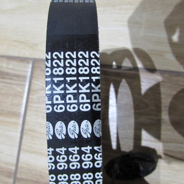 PASEK WIELOROWKOWY RENAULT 6PK 1822