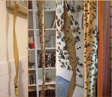 СТЕКЛЯННАЯ ЛОВУШКА ДЛЯ НАСЕКОМЫХ FLY PARTY КОМАРЫ ФРУКТОВЫЕ МАСКИ