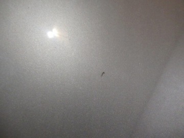 KAPOTA KRYT MOTORU VOLKSWAGEN PASSAT CC 2008/2012 ROK