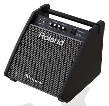 Roland PM 100 Monitor монитор для электронных барабанов