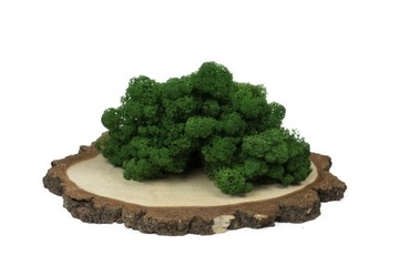 Мох Олений Крабовый МИКС ЦВЕТОВ 750 гр