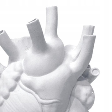 Анатомическое сердце Ваза для цветов Статуя Цветочный горшок