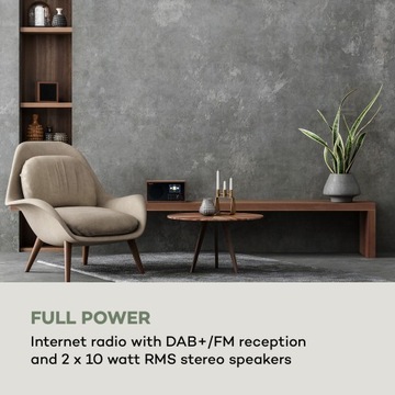Интернет-радио, DAB+/FM, Wi-Fi, BT, динамик TWS